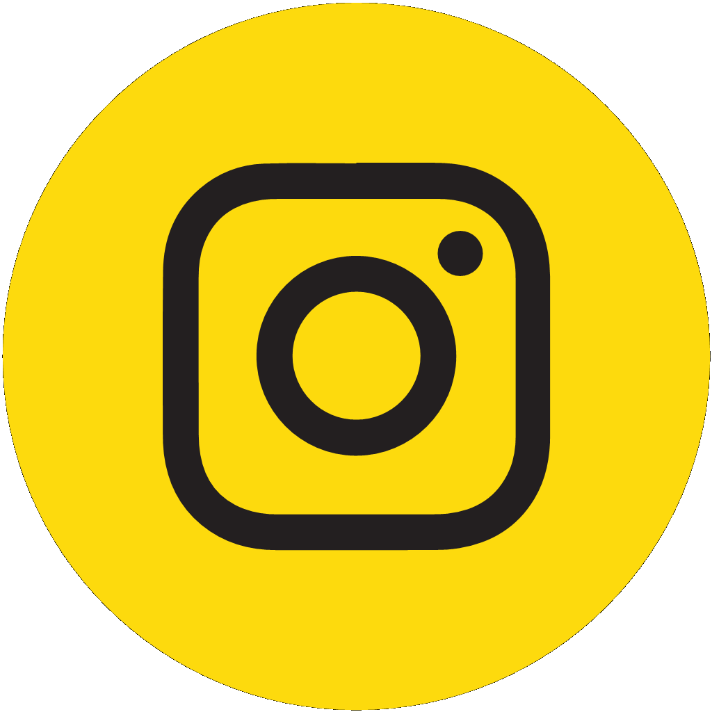 Instagram Icon